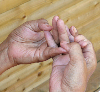 mandala mudra demonstrated by Yongdzin Tenzin Namdak Rinpoche, photo:
Christophe Moulin