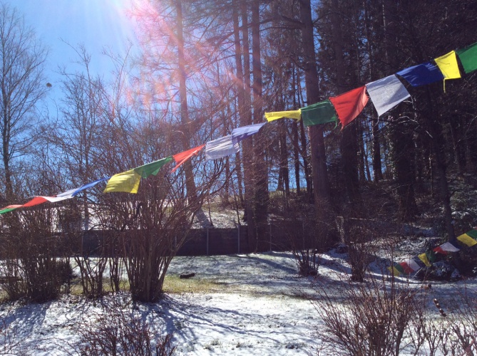 ys-garden-snow-flags-1686